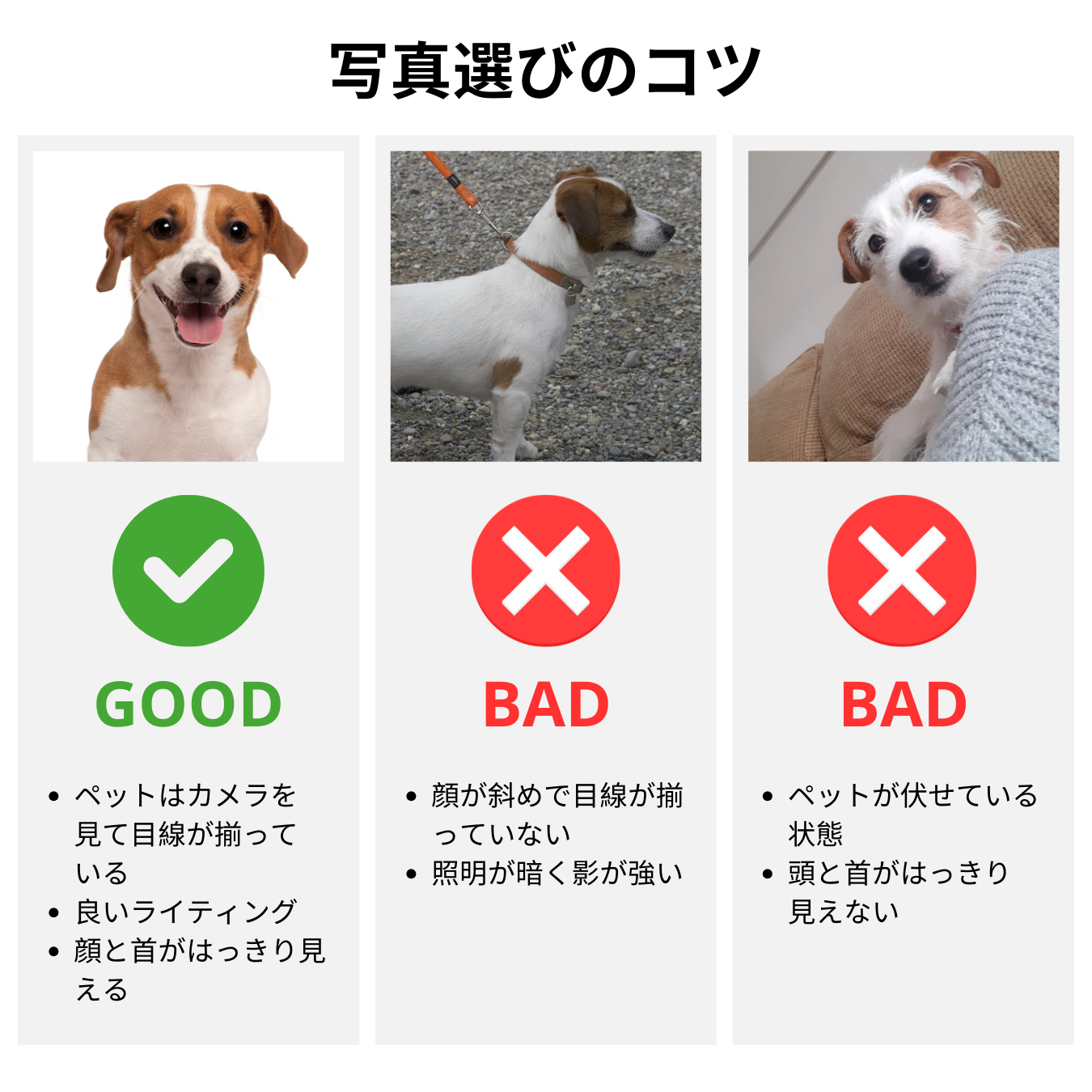 スマホ待ち受け画像 - ペットアニメイラスト ペット似顔絵