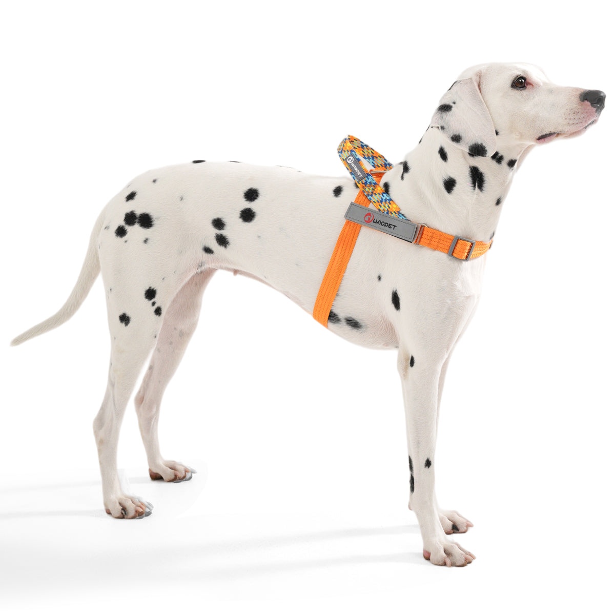 【国内発送 + 2個目半額セール!】GO! with PUPPY 名前入りハーネス 紐型ハーネス 無料カスタム名札ラベル作成 高性能ハーネス ひっぱり防止 トレーニング 首に負担の少ない 防災グッズ