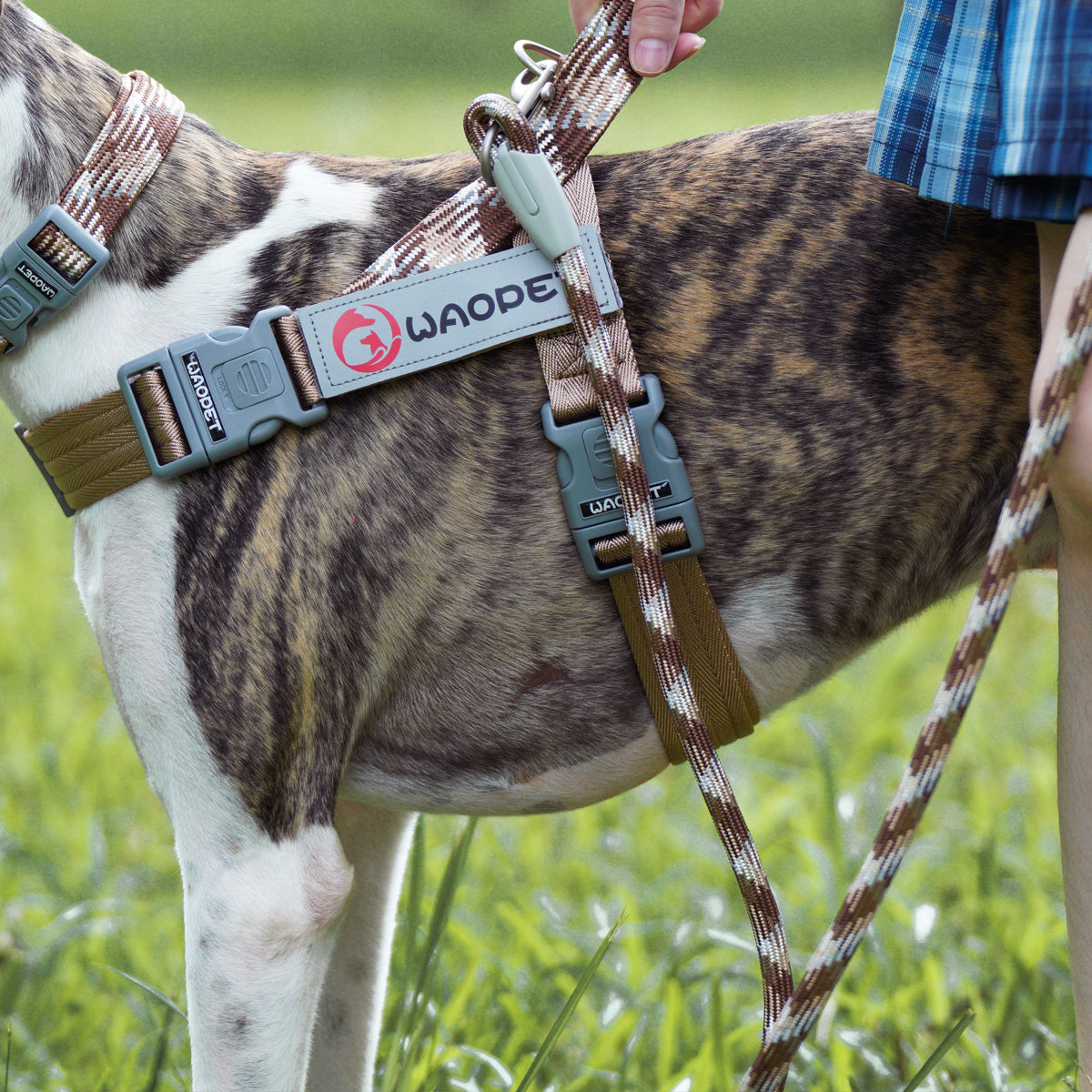 【国内発送 + 2個目半額セール!】GO! with PUPPY 名前入りハーネス 紐型ハーネス 無料カスタム名札ラベル作成 高性能ハーネス ひっぱり防止 トレーニング 首に負担の少ない 防災グッズ